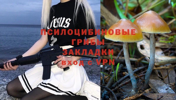 mix Осинники