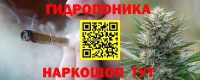 соль ск Кулебаки