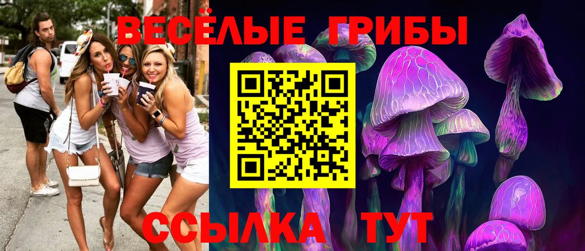 Псилоцибиновые грибы Magic Shrooms Курганинск