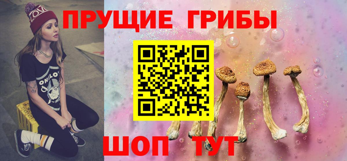 Галлюциногенные грибы Cubensis Курганинск