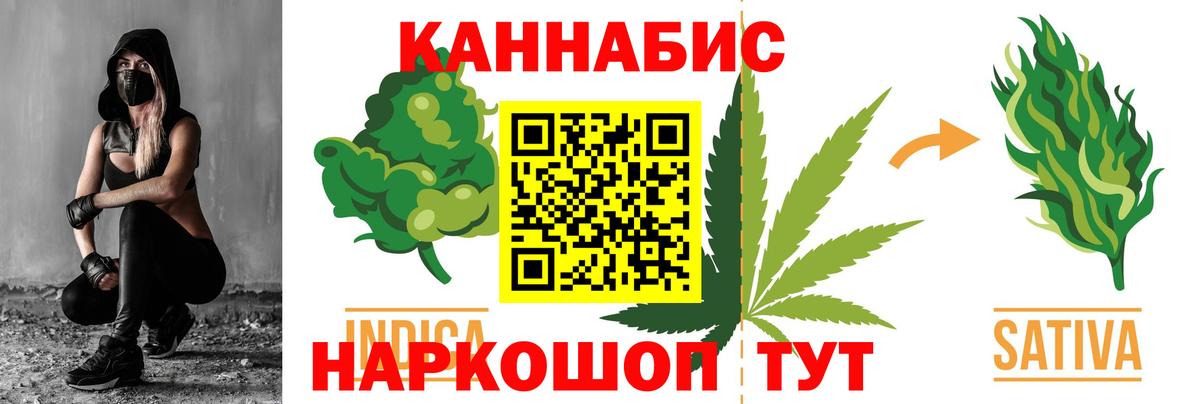 Канабис сатива Курганинск