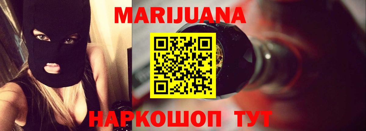 Каннабис план Курганинск